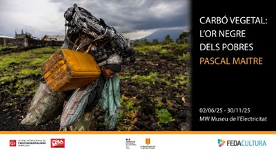 Cartell Carbó vegetal
