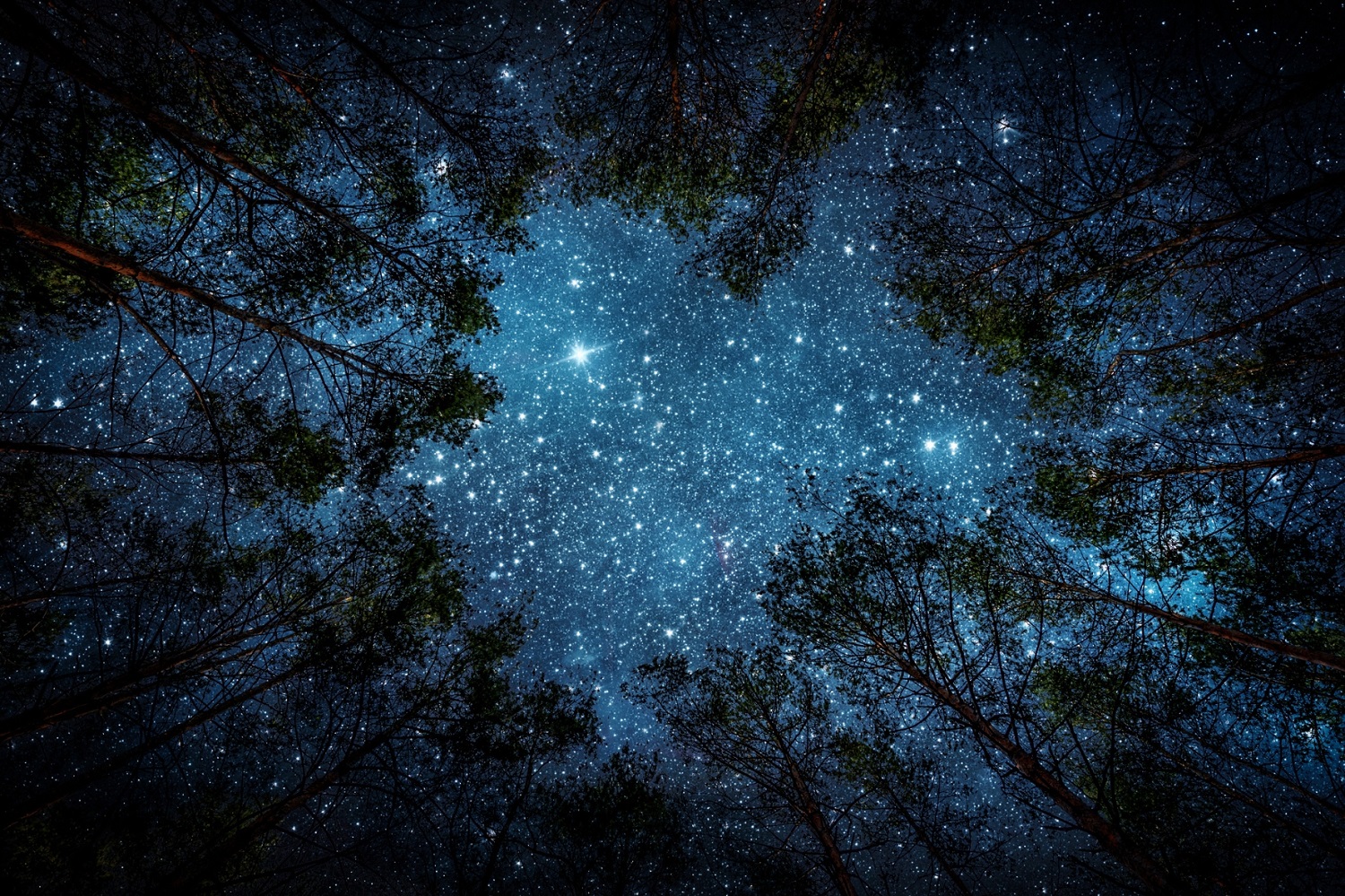 La vida d'una estrella