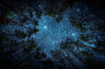 La vida d'una estrella
