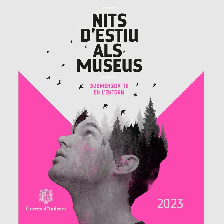 Nits estiu 2023