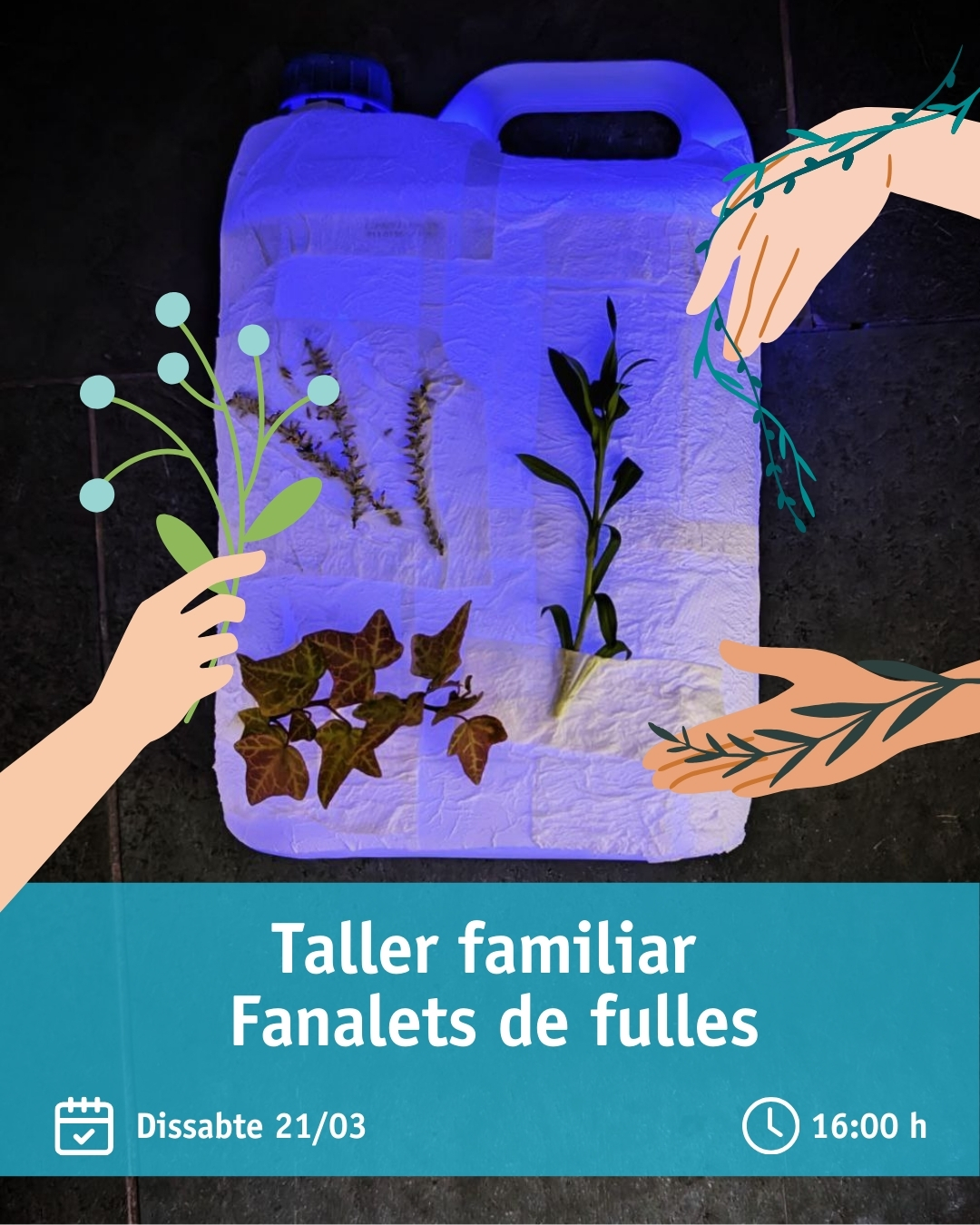 Taller fanalets